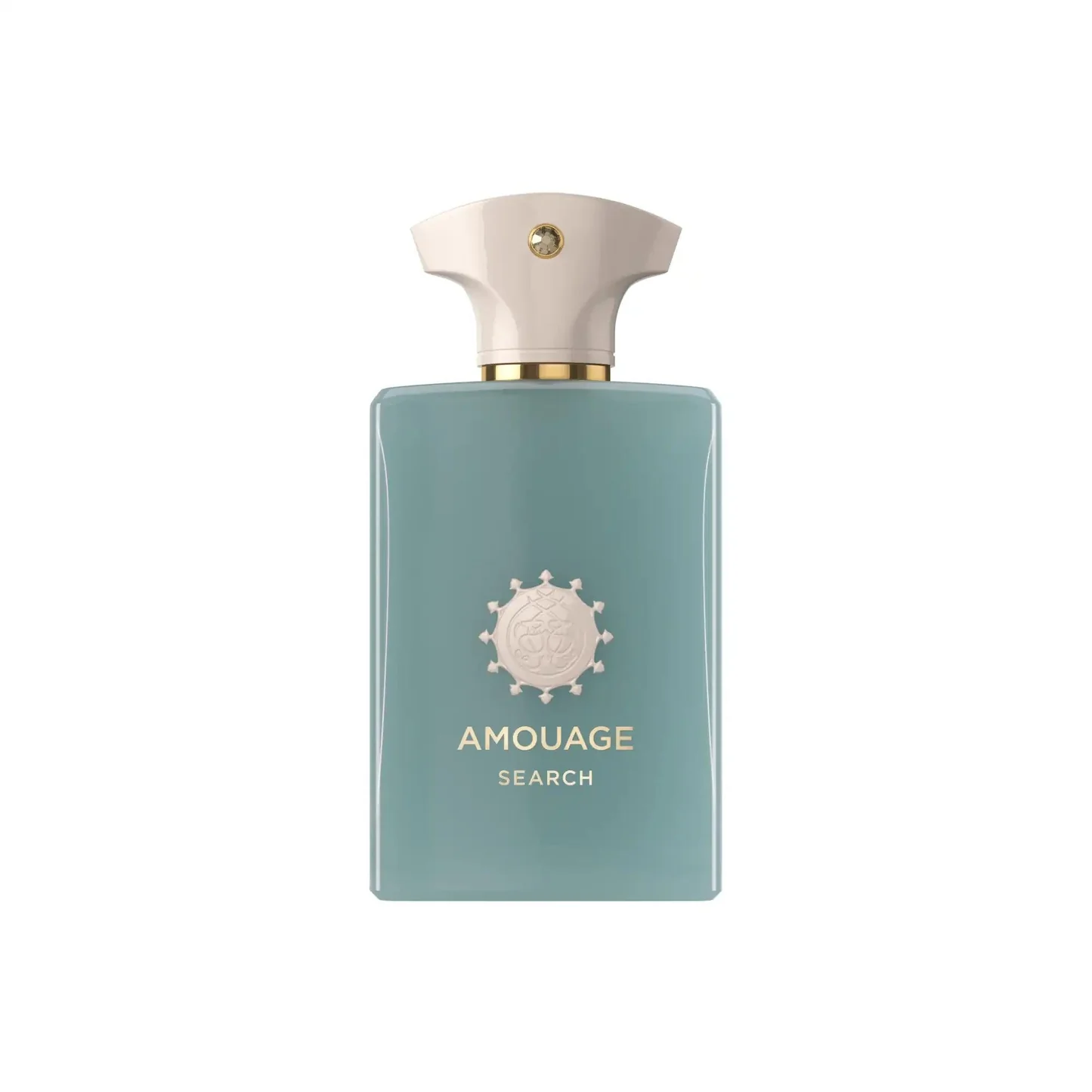 AMOUAGE SEARCH EDP 100ml