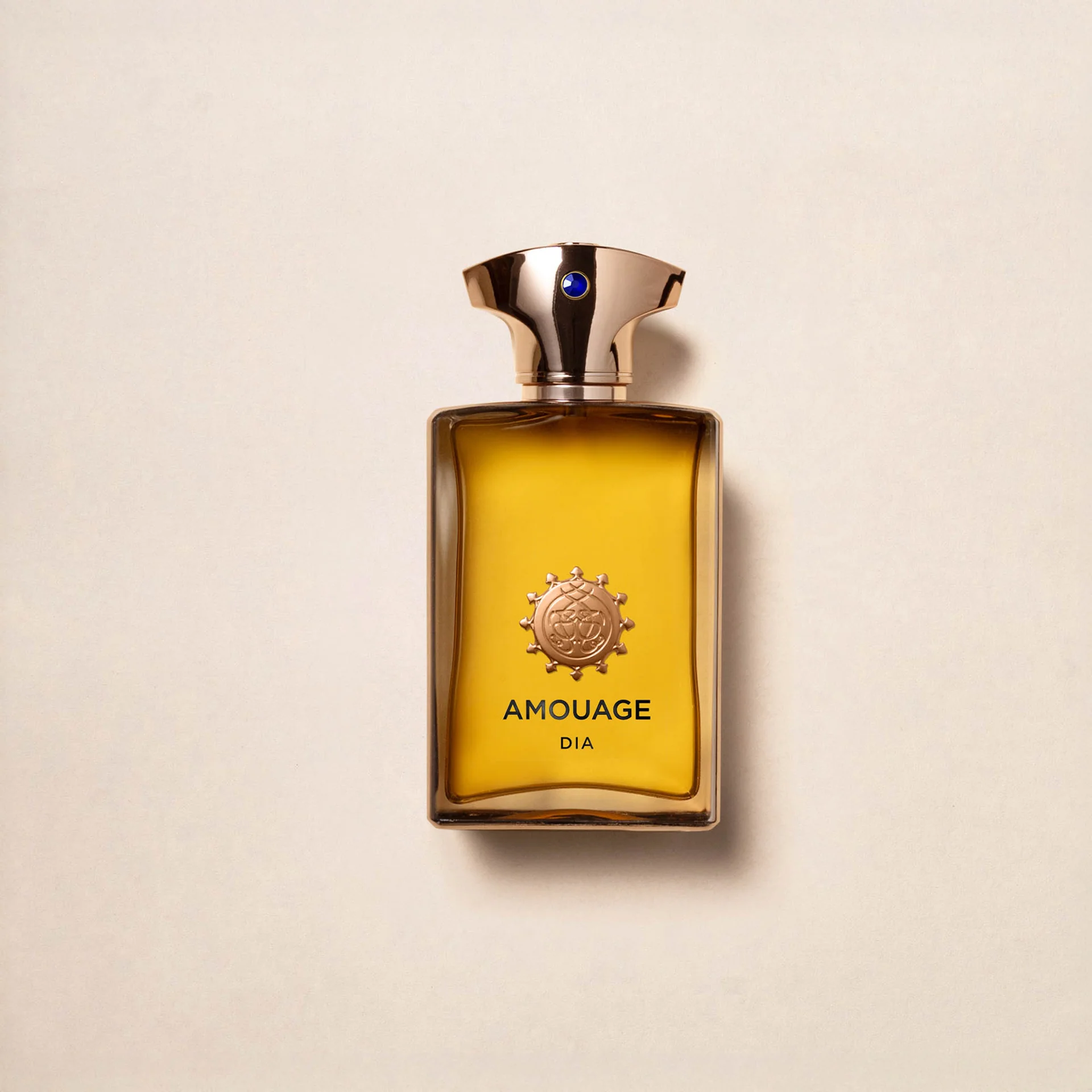 AMOUAGE DIA MAN EDP 100ml