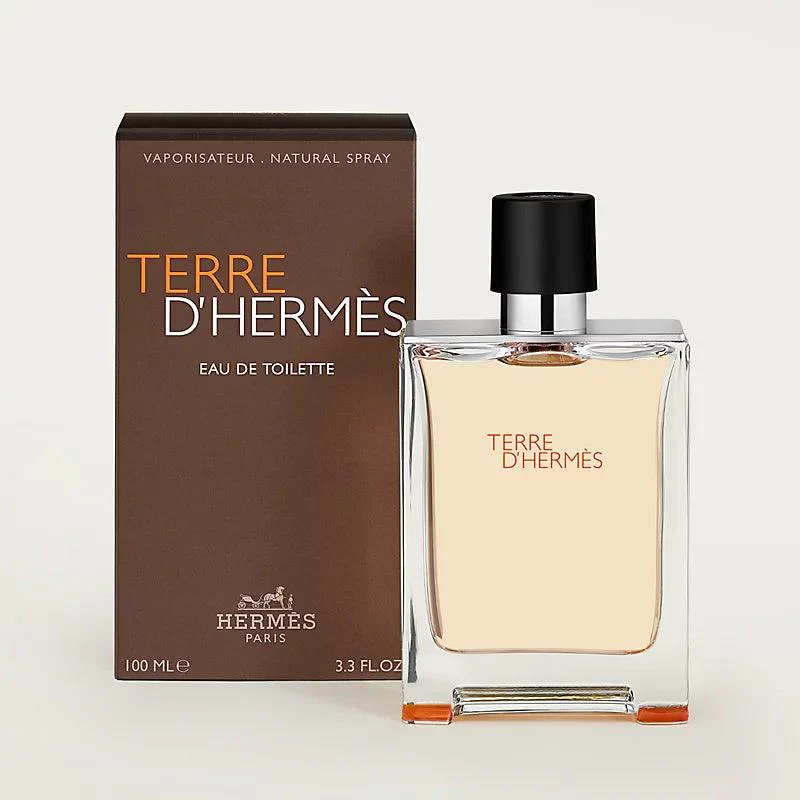 Hermes Terre D Hermes EDT 100Ml